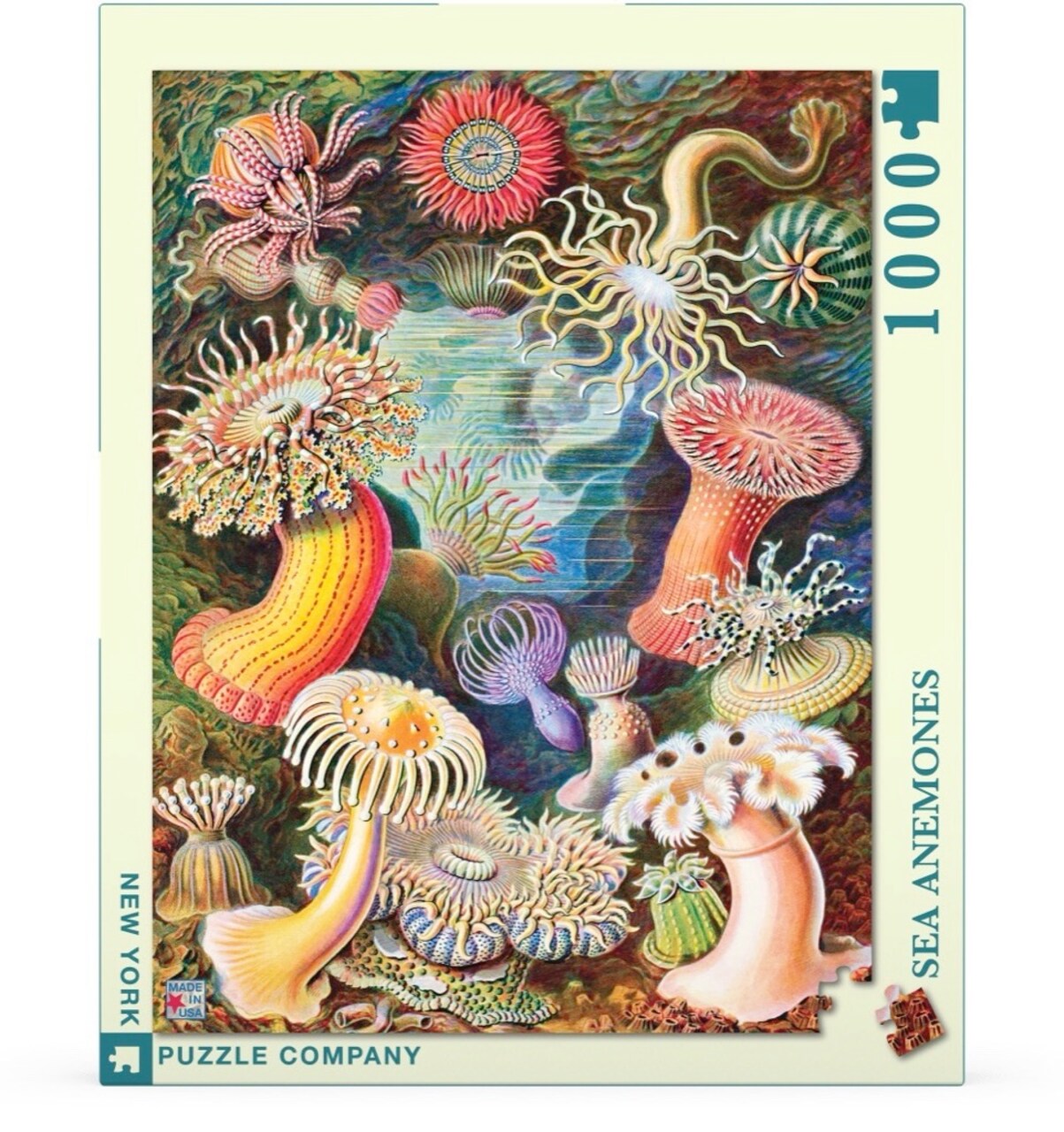 New York Puzzle Company Sea Anemones 1000 Piece Piece Jigsaw Puzzle